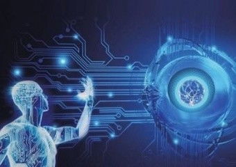 廈門觀魚者科技 一體化營銷優勢驅動全方位互聯網推廣