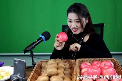 專業合作社引領，果農增收致富路——扶風獼猴桃實現全年供應與銷售新突破