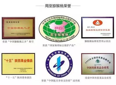 周至獼猴桃盼銷路 萬千兒女的呼喚，您的援手見真情