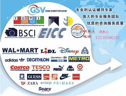 高效對接，精準匹配——專業商務信息咨詢服務采購指南